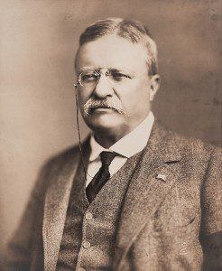 Theodore Roosevelt in 1918